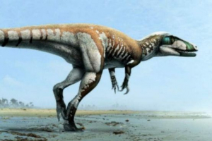 Claw-munja je najveći od dinosaura koji su živjeli u australiji Claw-munja je najveći od dinosaura koji su živjeli u australiji